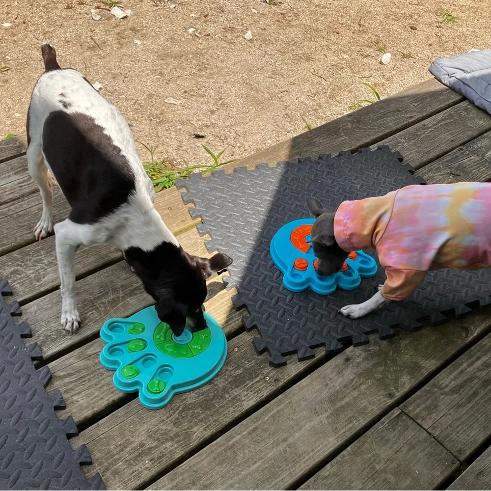 Dog Puzzle Paw Print Pet Toy, Hide & Seek the Treats Game, Puppy Cat Guinea Pig